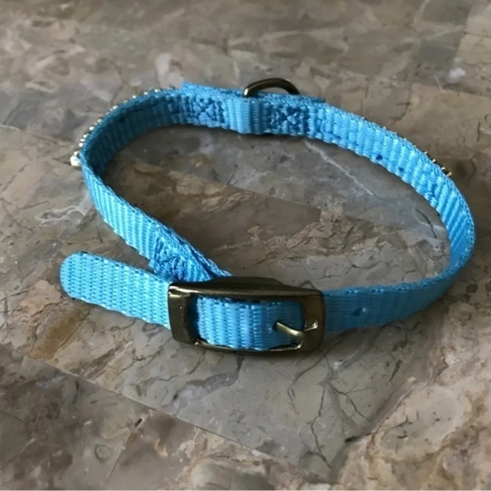 Blue Dog Collar Rhinestones Grosgrain Brass‎